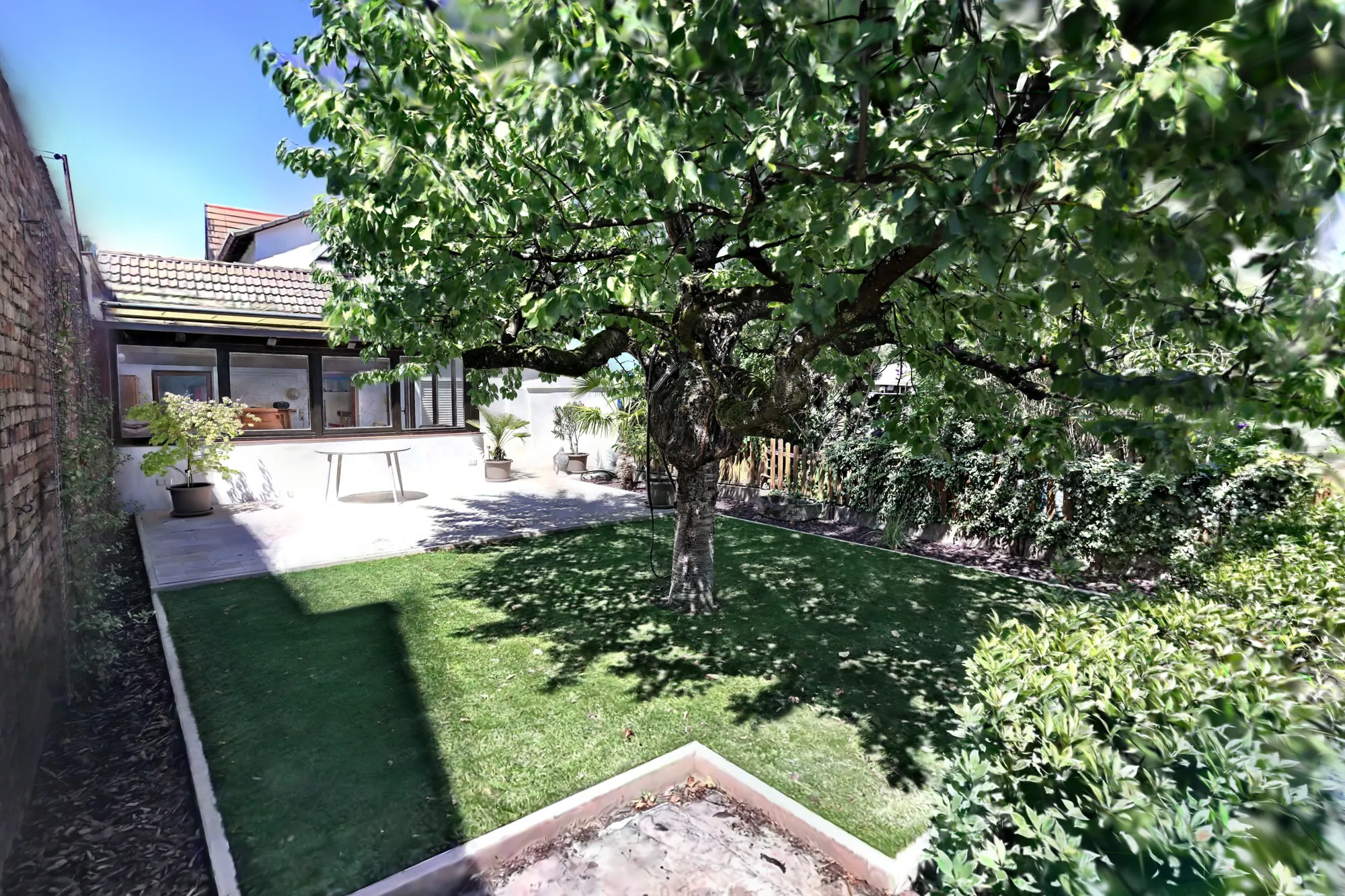 Garten mit Baum